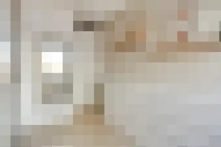 Maximahof 3 Dodewaard thumbnail 16