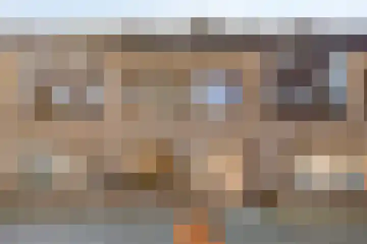 Maximahof 3 Dodewaard thumbnail 22