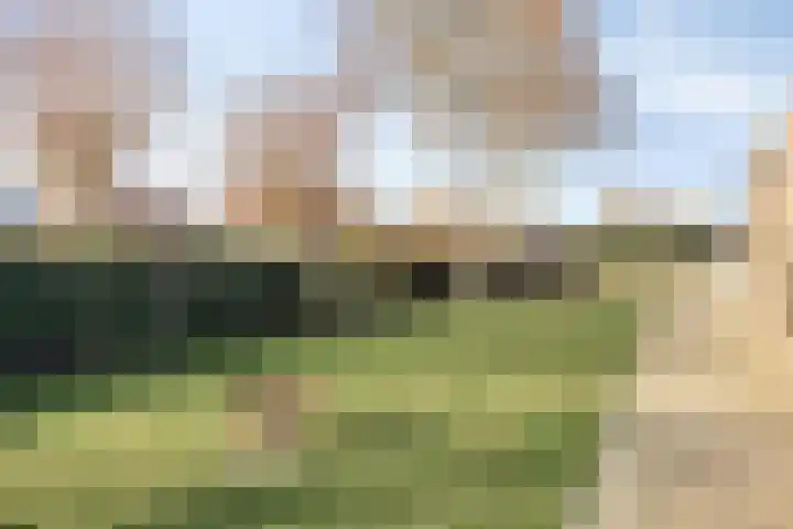 Maximahof 3 Dodewaard thumbnail 25