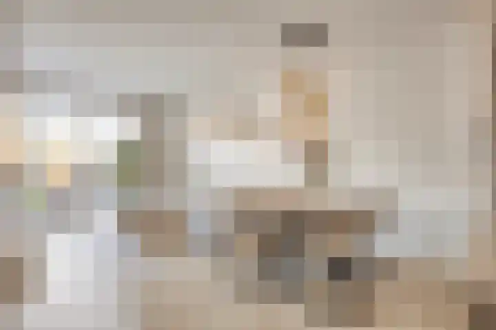 Maximahof 3 Dodewaard thumbnail 5