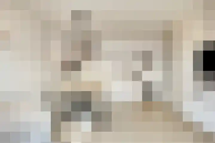 Maximahof 3 Dodewaard thumbnail 7