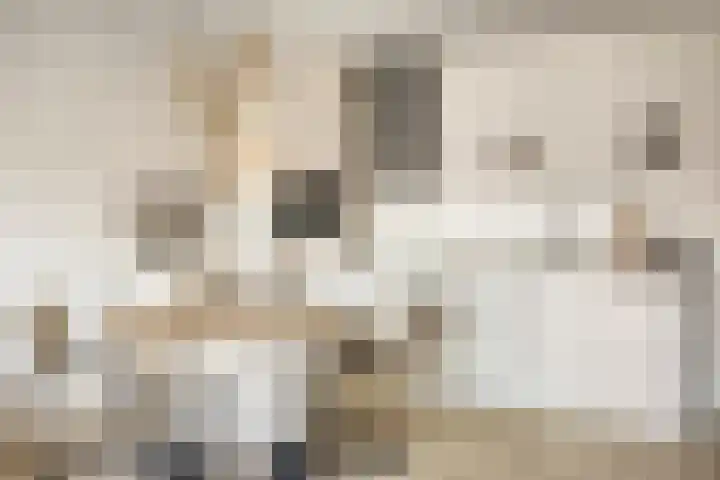 Maximahof 3 Dodewaard thumbnail 8
