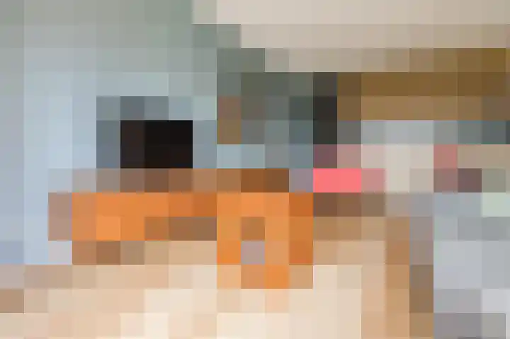 Maximahof 9 Dodewaard thumbnail 13