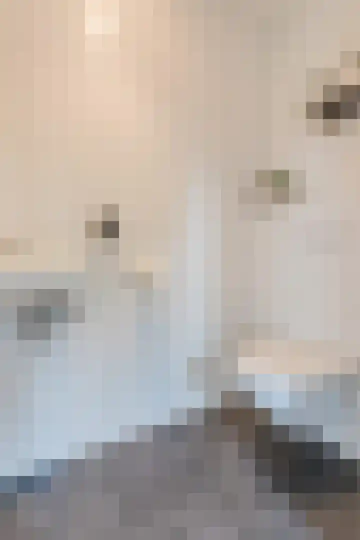 Maximahof 9 Dodewaard thumbnail 16