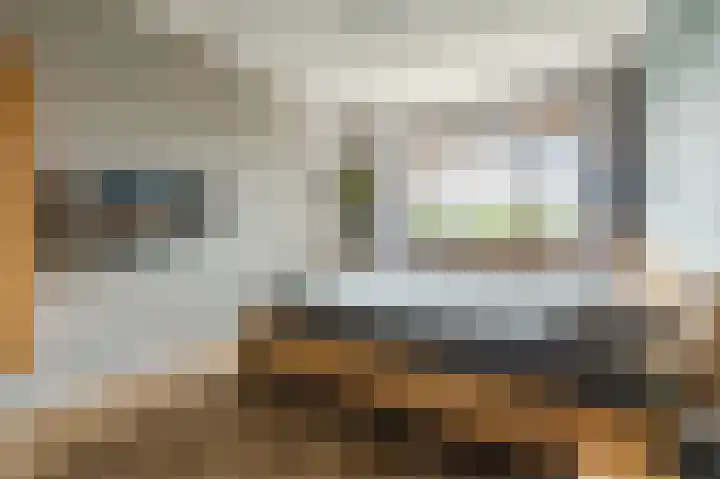 Maximahof 9 Dodewaard thumbnail 18