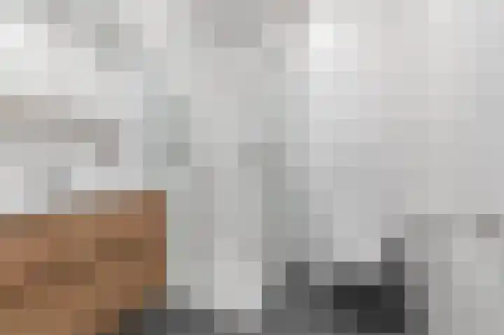 Maximahof 9 Dodewaard thumbnail 23