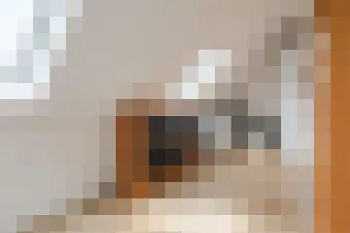 Maximahof 9 Dodewaard thumbnail 27