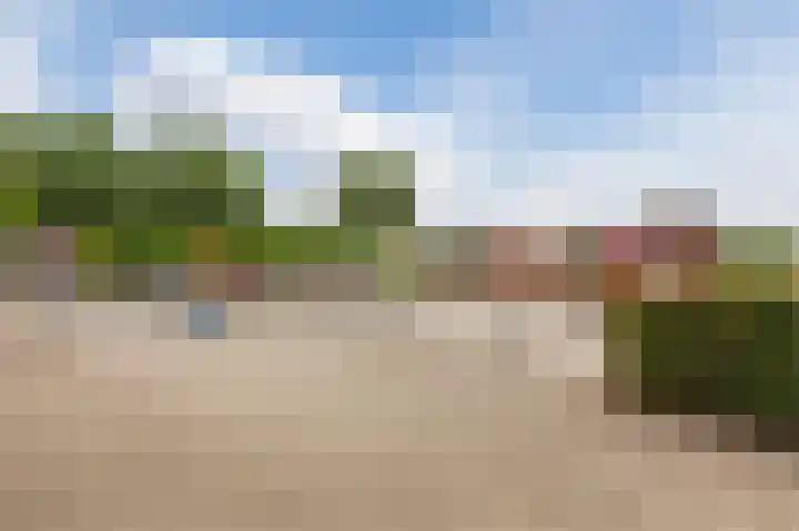 Maximahof 9 Dodewaard thumbnail 29