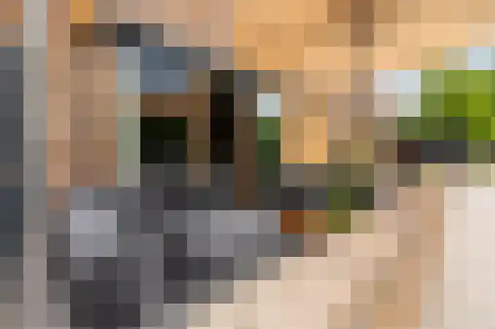 Maximahof 9 Dodewaard thumbnail 4