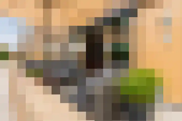 Maximahof 9 Dodewaard thumbnail 5