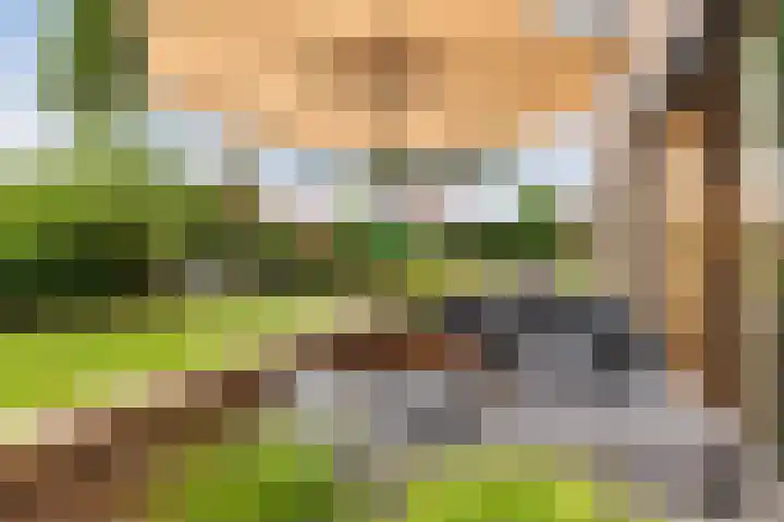 Maximahof 9 Dodewaard thumbnail 6