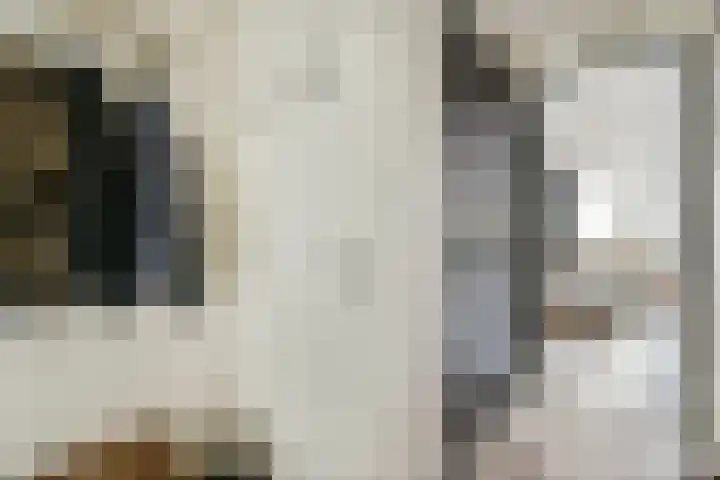 Máximalaan 11 Sassenheim thumbnail 15