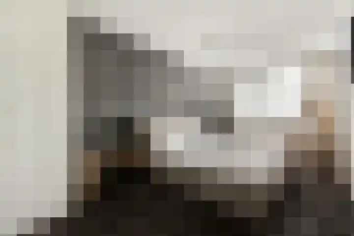 Máximalaan 11 Sassenheim thumbnail 18