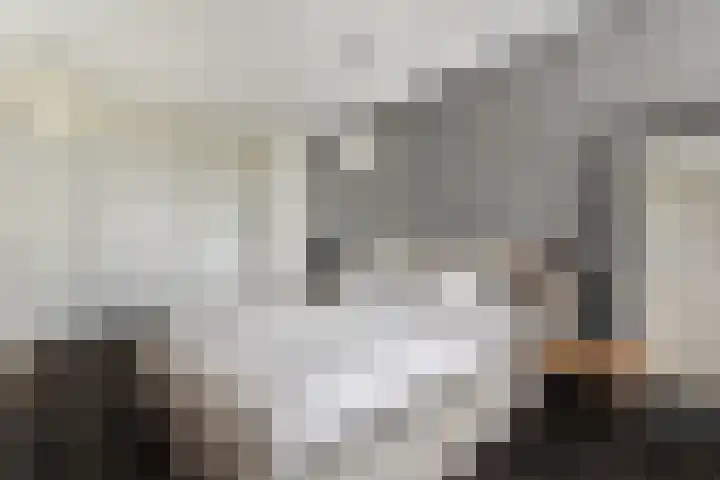 Máximalaan 11 Sassenheim thumbnail 19