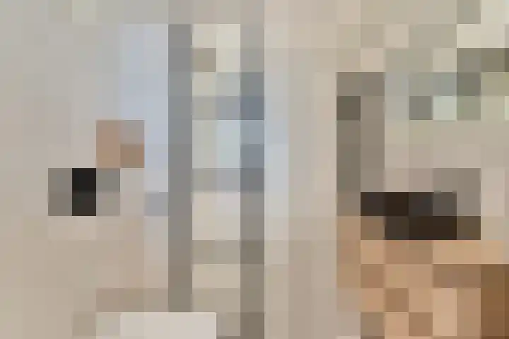 Máximalaan 11 Sassenheim thumbnail 22