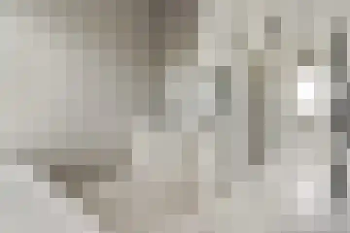 Máximalaan 11 Sassenheim thumbnail 28