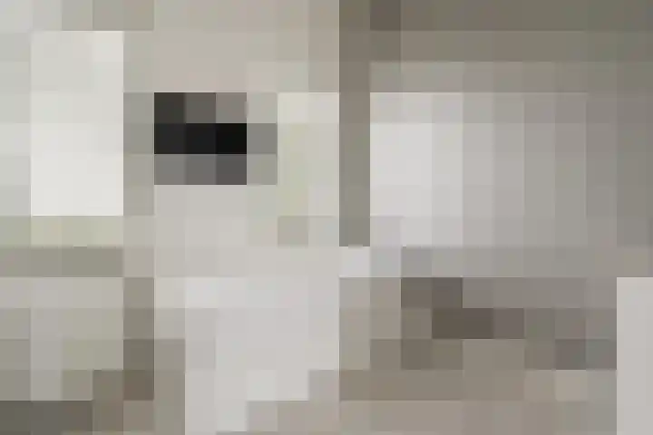 Máximalaan 11 Sassenheim thumbnail 29