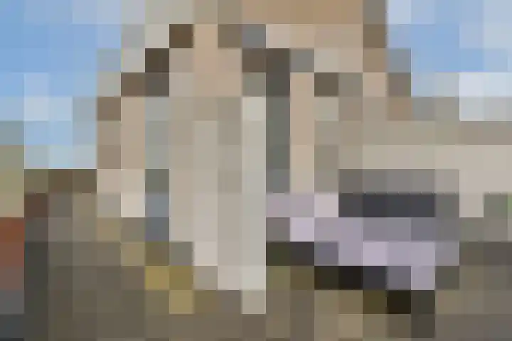 Máximalaan 11 Sassenheim thumbnail 31