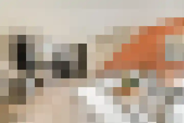 Máximalaan 11 Sassenheim thumbnail 4