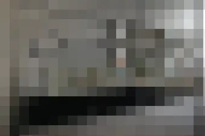 Máximalaan 11 Sassenheim thumbnail 9