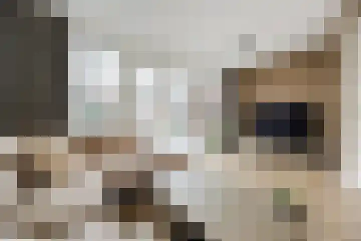Maximalaan 15 Oud Gastel thumbnail 11