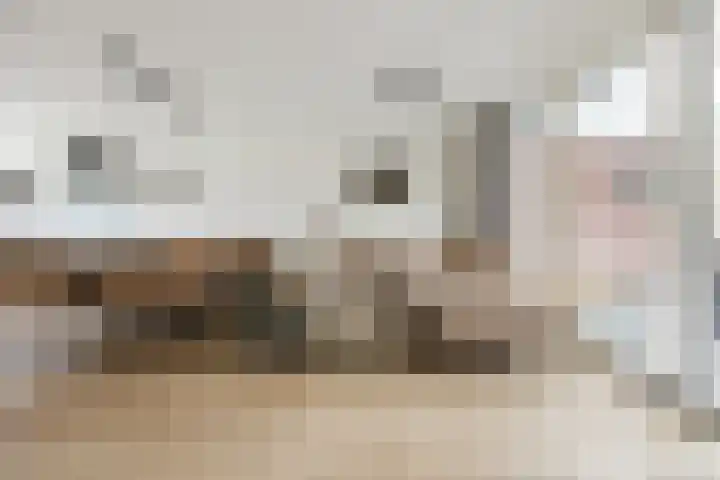 Maximalaan 15 Oud Gastel thumbnail 12