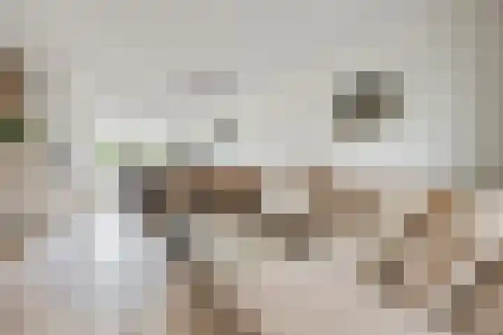 Maximalaan 15 Oud Gastel thumbnail 13