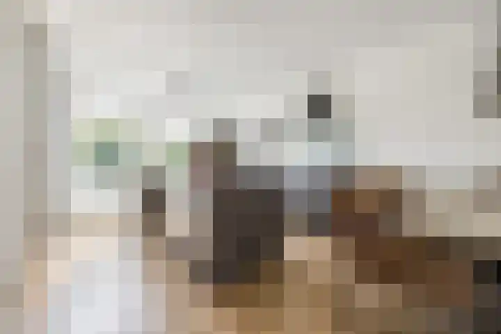 Maximalaan 15 Oud Gastel thumbnail 15