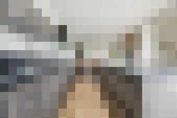 Maximalaan 15 Oud Gastel thumbnail 18