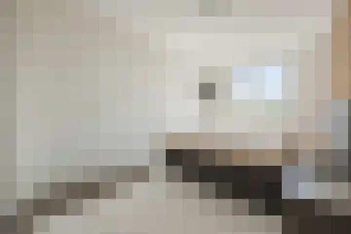 Maximalaan 15 Oud Gastel thumbnail 24