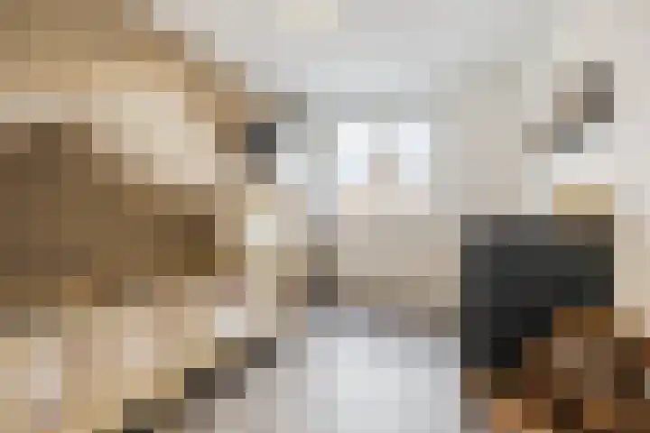 Maximalaan 15 Oud Gastel thumbnail 26