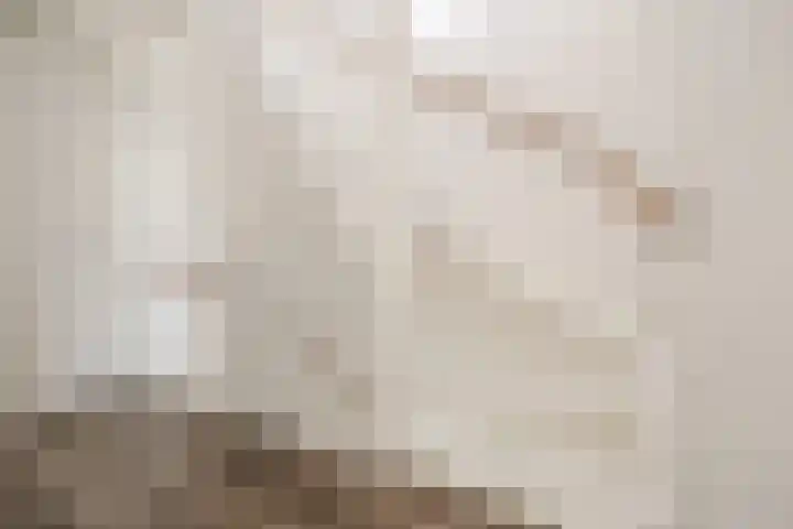 Maximalaan 15 Oud Gastel thumbnail 32