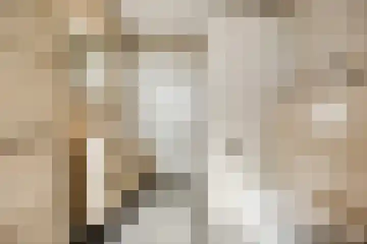 Maximalaan 15 Oud Gastel thumbnail 34