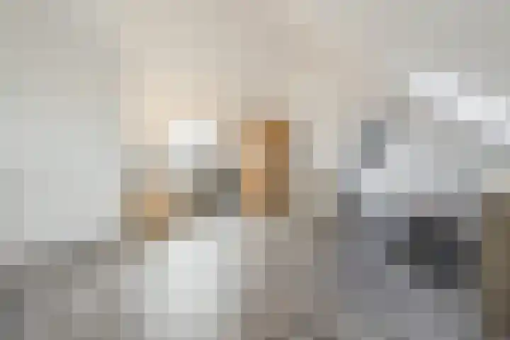 Maximalaan 15 Oud Gastel thumbnail 38