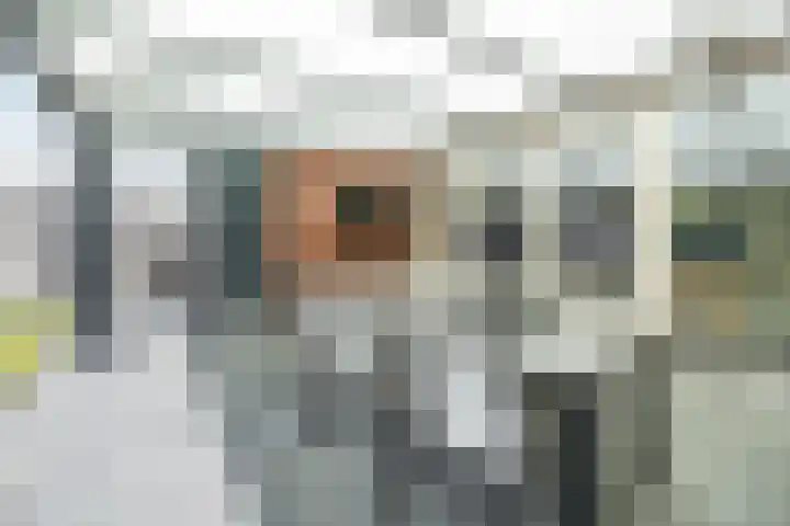 Maximalaan 15 Oud Gastel thumbnail 45