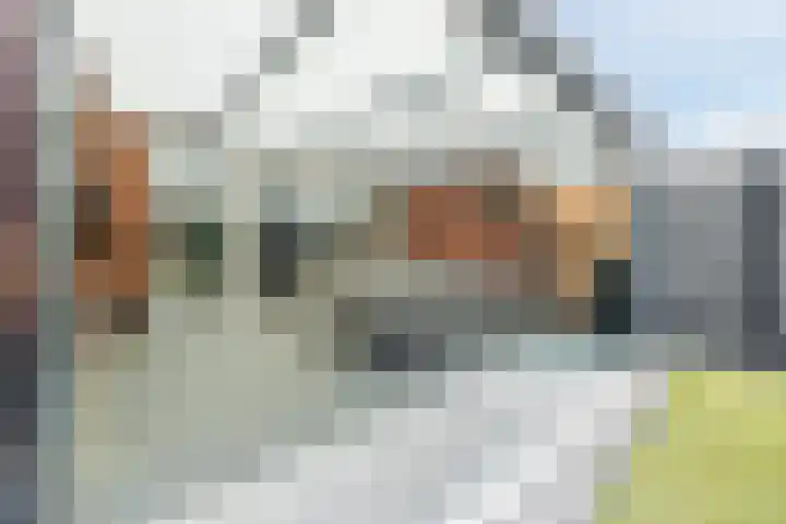 Maximalaan 15 Oud Gastel thumbnail 46