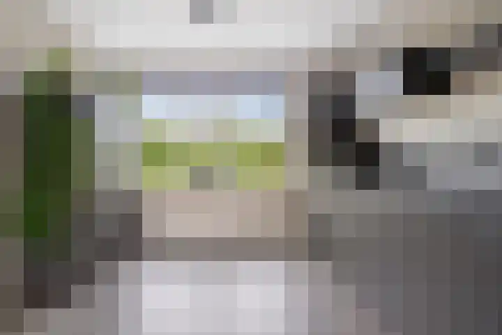 Maximalaan 29 Oud Gastel thumbnail 10