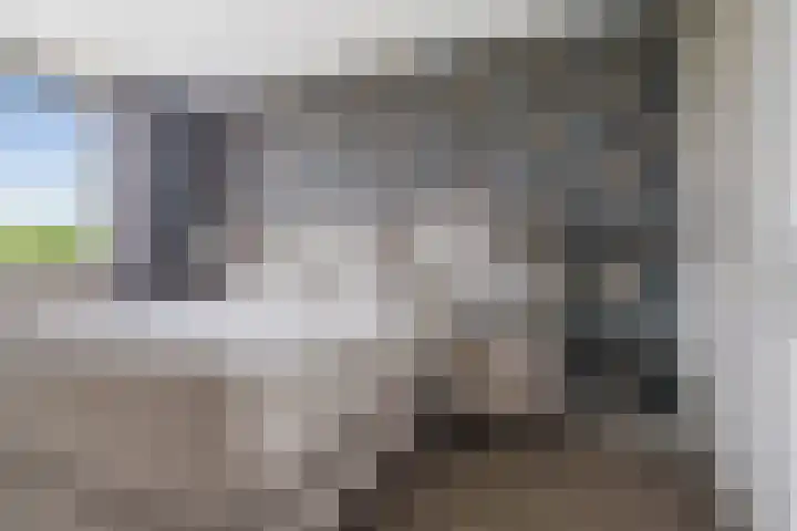 Maximalaan 29 Oud Gastel thumbnail 21