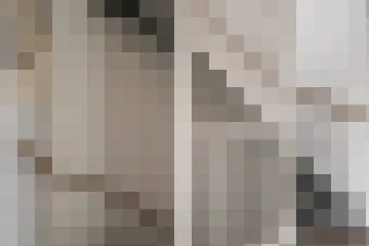 Maximalaan 29 Oud Gastel thumbnail 30
