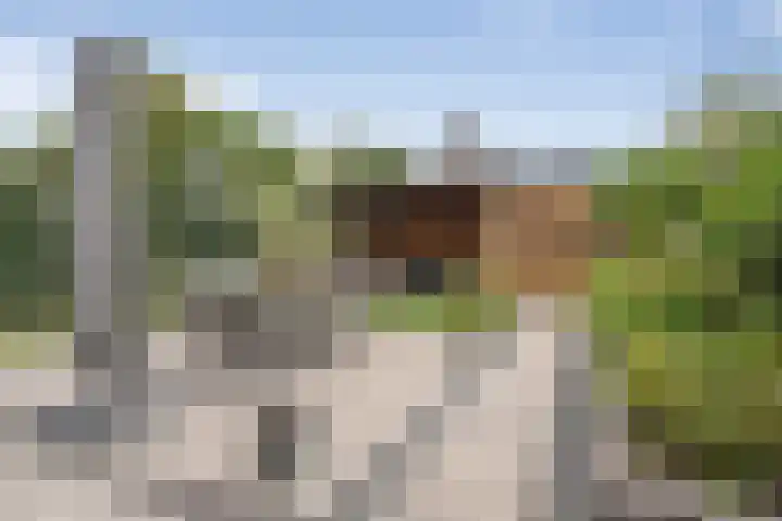 Maximalaan 29 Oud Gastel thumbnail 42