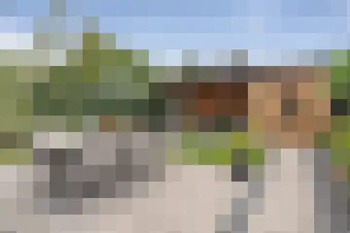 Maximalaan 29 Oud Gastel thumbnail 43