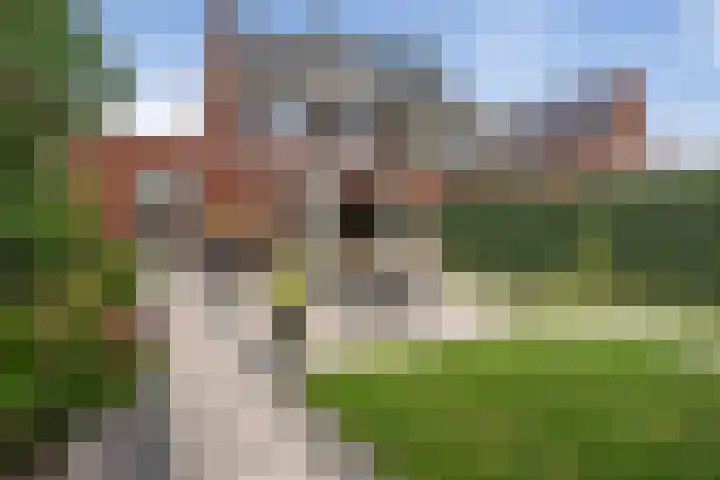 Maximalaan 29 Oud Gastel thumbnail 49