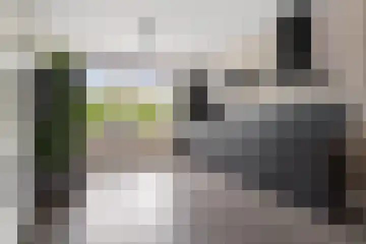 Maximalaan 29 Oud Gastel thumbnail 9