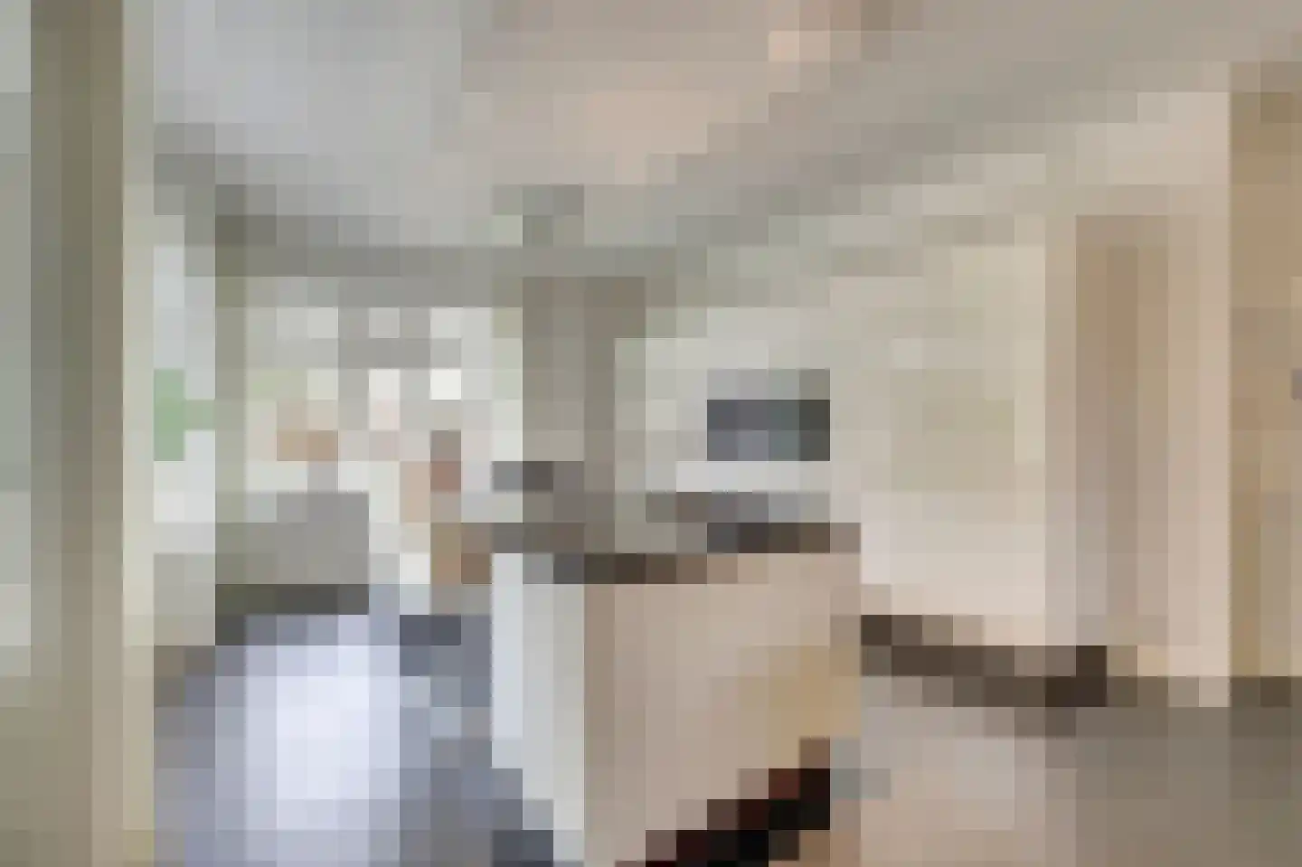 Máximalaan 3 Ermelo thumbnail 21