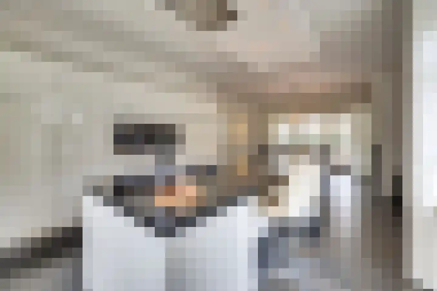 Máximalaan 3 Ermelo thumbnail 22