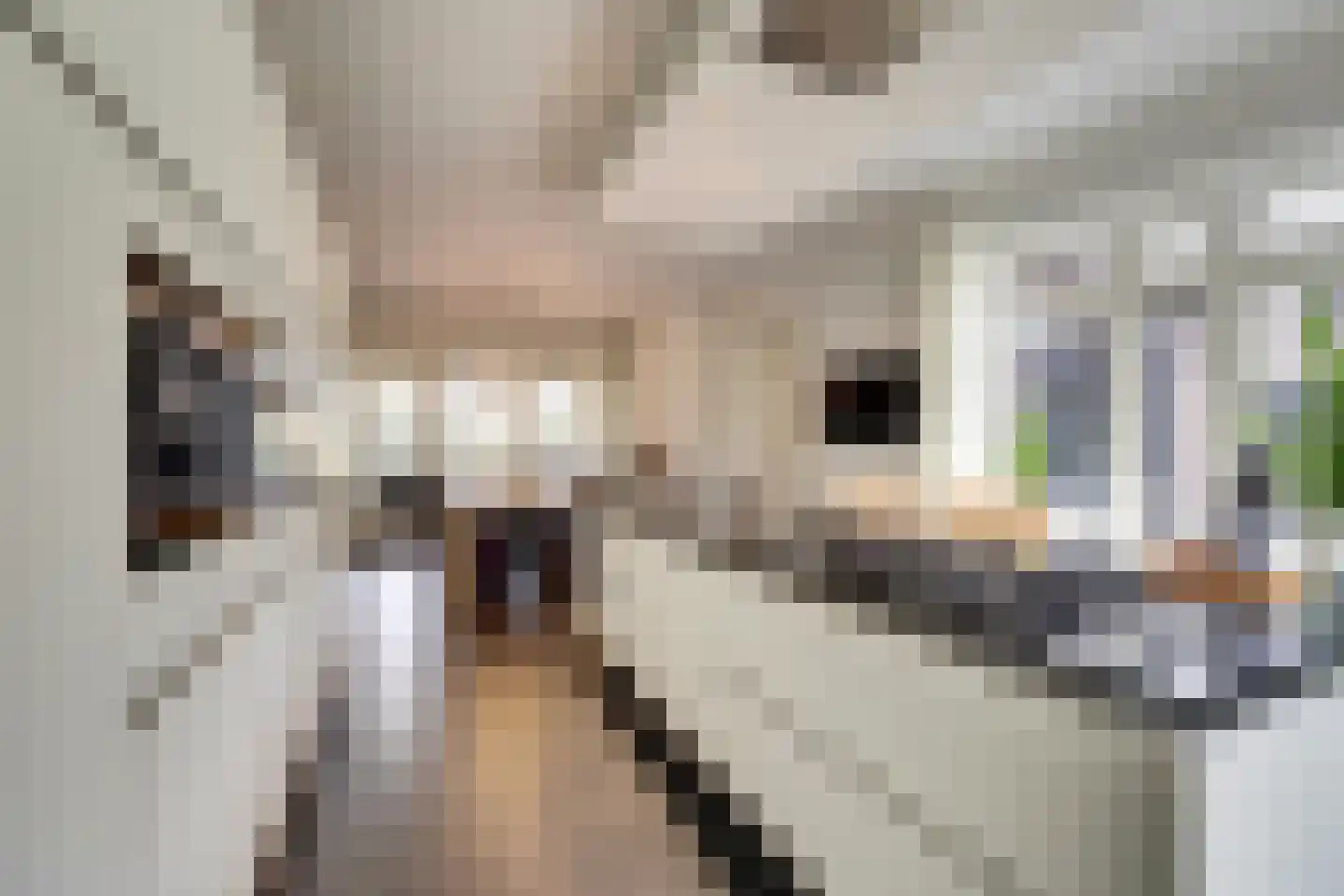 Máximalaan 3 Ermelo thumbnail 23
