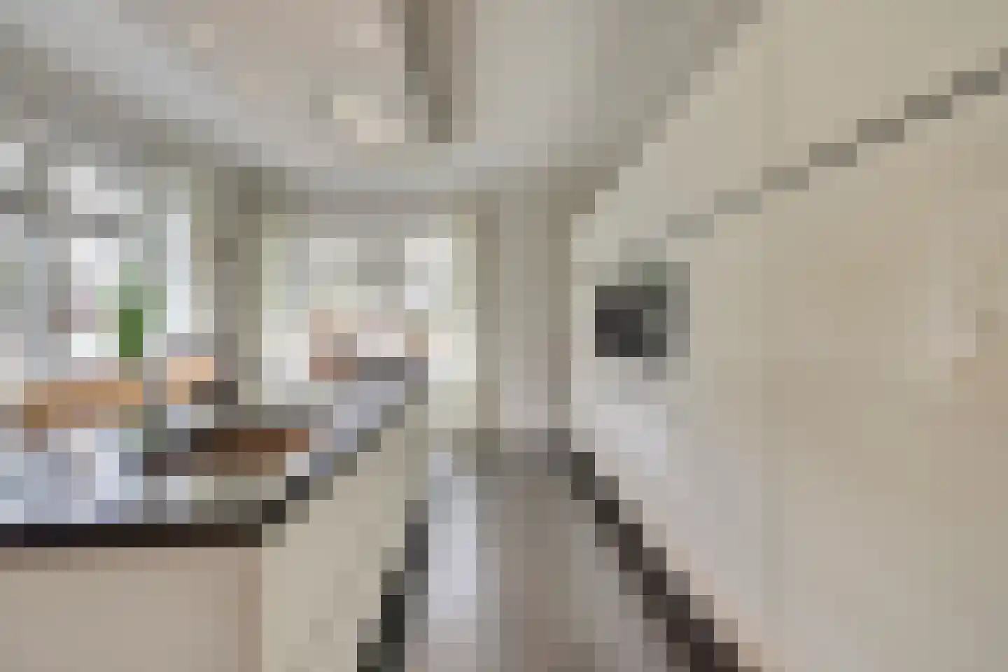 Máximalaan 3 Ermelo thumbnail 24