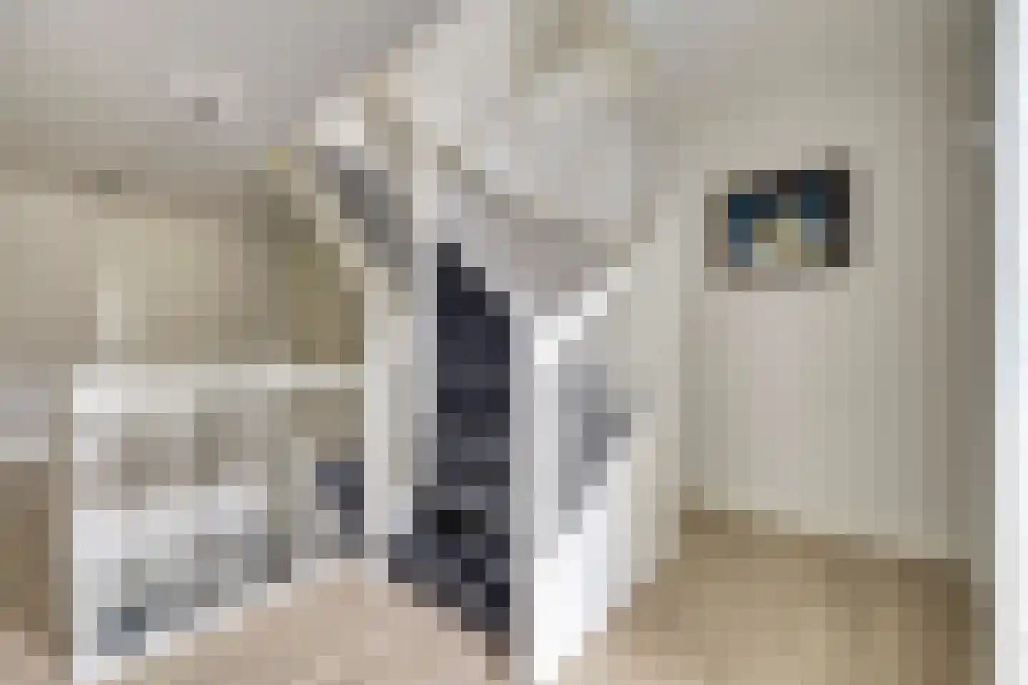 Máximalaan 3 Ermelo thumbnail 28