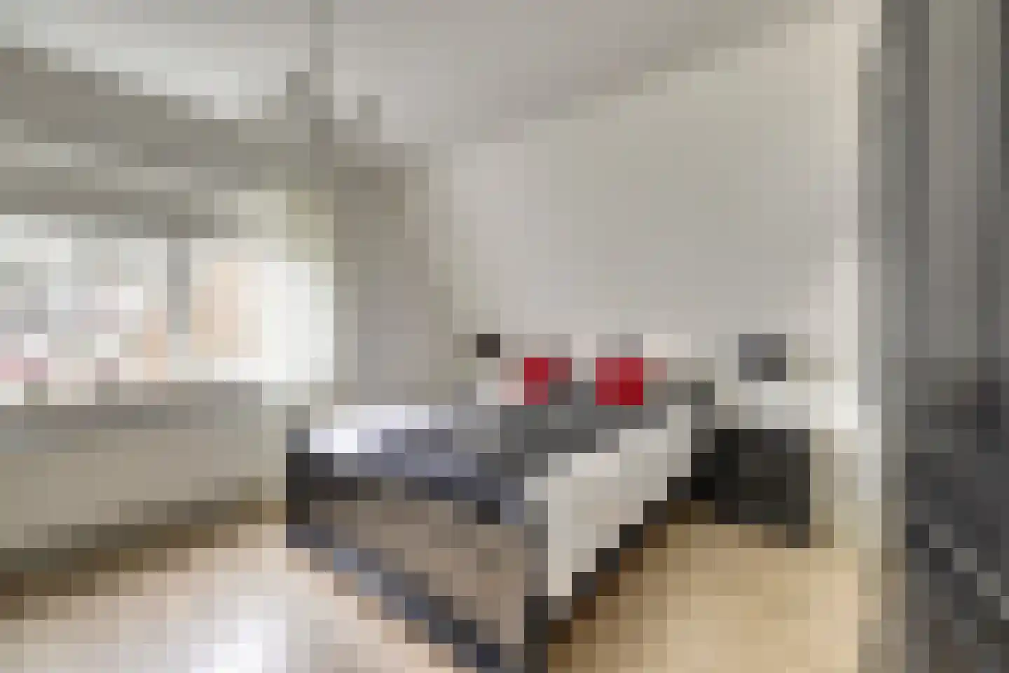Máximalaan 3 Ermelo thumbnail 29