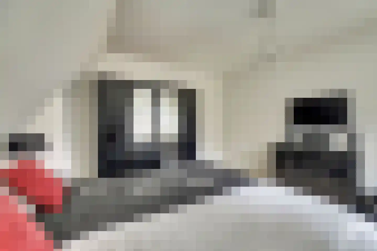 Máximalaan 3 Ermelo thumbnail 30